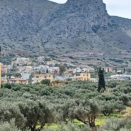 Olympic Star מלון דירות 2*